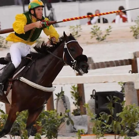 La Castellina 23 Feriehus Sulmona