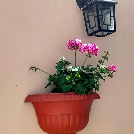 La Castellina 23 Hébergement de vacances *