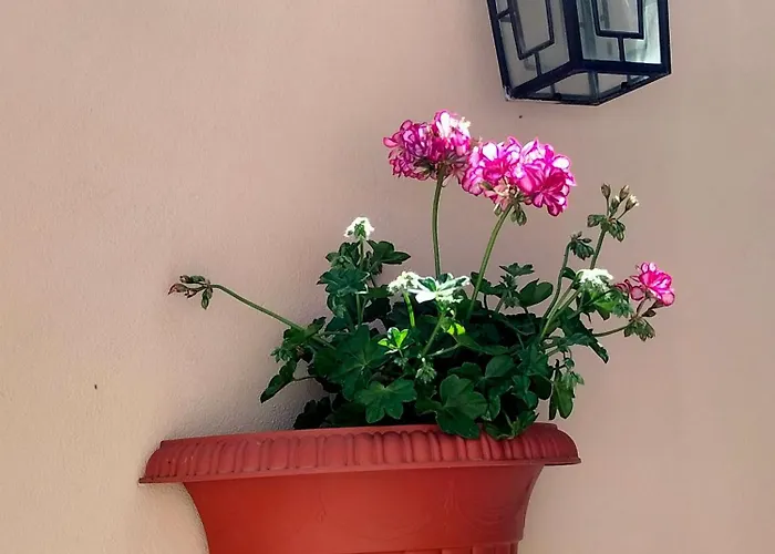 La Castellina 23 Holiday home *